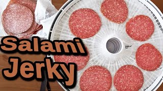 A Simple Homemade Snack  DIY Jerky using Salami [upl. by Botzow]