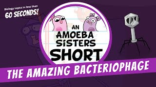 Bacteriophages  Amoeba Sisters Shorts [upl. by Creedon]