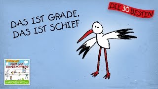 Das ist grade das ist schief  Die besten Spiel  und Bewegungslieder  Kinderlieder [upl. by Emmet494]