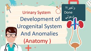 Development of Urogenital System And Renal Anomalies مليان صور توضيحية [upl. by Finny]