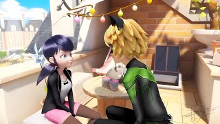 MariChat on Season 6  Miraculous Speededit [upl. by Asiluj]