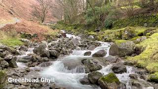 Greenhead Ghyll [upl. by Caryn]