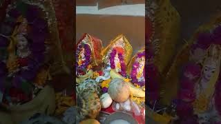 Happy diwali trending viralvideo shorts [upl. by Celka487]