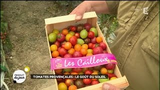 Tomates provençales  le goût du soleil [upl. by Fernande]