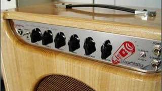 Clean from Biyang Tube Amp Model 2203 [upl. by Bucher]