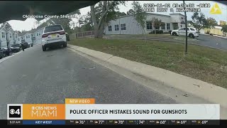 Florida deputy mistook falling acorn for gunfire he fired back [upl. by Neryt218]