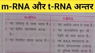 mRNA और tRNA के बीच अन्तर mRNA or tRNA me antarmRNA tRNA और rRNA के बीच अंतर [upl. by Oletta]