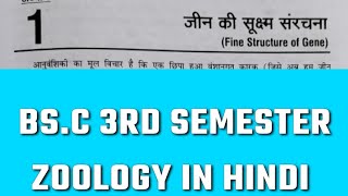 BSC 3rd semester zoology Fine Structure Of Gene chapter 1 in hindi process of transcription [upl. by Presley]