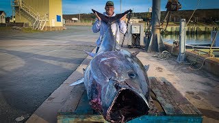 100000000 FISH Catch Clean Cook GIANT BlueFin TUNA [upl. by Seeto806]