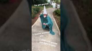 You got gnomed memes crawly gnomes gyatt [upl. by Nawat]