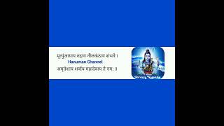 Mrityunjayaya Rudraya Neelakanthaya  Lord Shiva Mantra [upl. by Tillfourd]