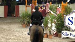 Okavango Semilly jumping stallion SF by Le Tot de Semilly [upl. by Narra]