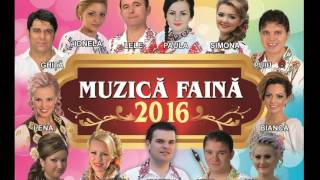 Colaj muzica banateana  Muzica faina 2016 [upl. by Nayrbo585]