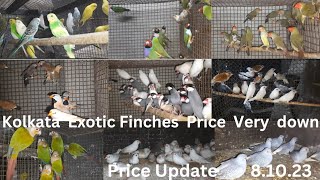 Kolkata birds price is very down Finches price in kolkata Gouldian finch Cocktail  javas [upl. by Proffitt]