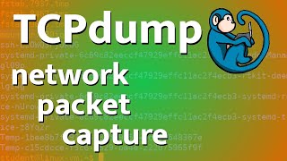 packet capture tutorial using tcpdump [upl. by Docilla]