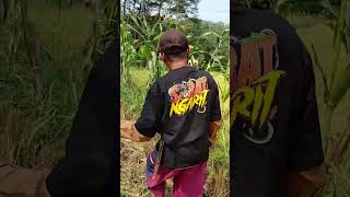 Petani Jagung Lagi Masarin Produk Mas Iyun BAJU SOBAT NGARIT shots masiyun masiyunlivetiktok [upl. by Sesilu59]