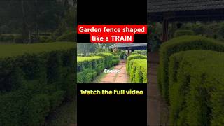 Best Botanical Garden in GOA INDIA shorts india goa [upl. by Tiffanle547]