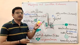 Expectorants amp Antitussive Part05 Mucolytic  Microkinetic  Expectorants Drugs  Antitussive [upl. by Tiny]