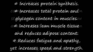 SciFit EcdySterone 300 [upl. by Dominica]