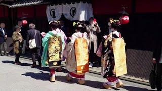 Geisha Walk in Gion Hanamikoji  Sakura  Amazing Beautiful Kimono and Obi  Kyoto Japan Travel [upl. by Etteb]