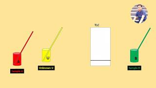 Thin Layer Chromatography TLC Animation [upl. by Geraint586]