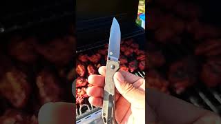 Kizer Begleiter 2 kizerknives knives knife kizerbegleiter kizeredc [upl. by Arch]