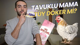 Tavuklu Mama Tüy Döker Mi TAVUKLU MAMA KULLANIMINDA NE OLUR [upl. by Sivolc296]