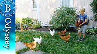 Les tâches dété  Routines dune famille nombreuse au Québec [upl. by Ecirtam209]