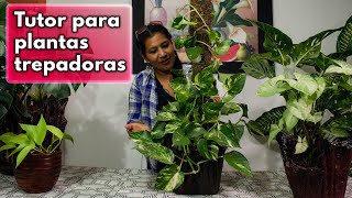 COMO HACER UN TUTOR ORGÁNICO PARA TUS PLANTAS TREPADORAS  EXCELENTE IDEA PARA UN NEGOCIO RENTABLE [upl. by Airt372]