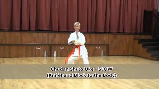 Shotokan Grading Syllabus 9th Kyu  8th Kyu [upl. by Kamerman]