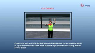 Aurion Learning  Headset And Marshalling Training Program [upl. by Neeron]