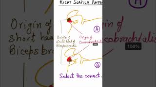 Attachments on the tip of coracoid process of scapula Bone Quiz shorts [upl. by Thun]