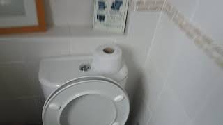 downstairs brandless whole toilet roll flush [upl. by Bum997]