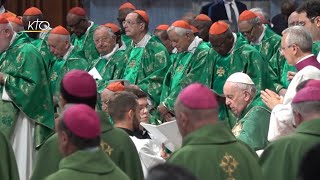 Rencontre des cardinaux au Vatican [upl. by Jangro329]