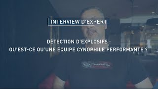 Détection d’explosifs  qu’estce qu’une équipe cynophile performante [upl. by Ardnossak]