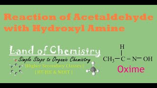 Reaction of Acetaldehyde with hydroxyl amine Acetaldoxime N  ethylidene hydroxylamine Class12 [upl. by Wandis527]