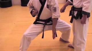 Tang Soo Do Basics Part 4 [upl. by Dlarej]