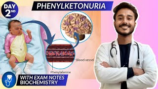 phenylketonuria biochemistry  protein metabolism biochemistry  phenylalanine metabolism defect [upl. by Ahsilaf]