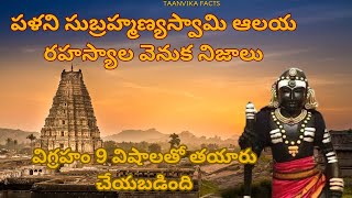 Palani Subhramanyaswami temple mysteries explained in Telugu by Taanvika facts [upl. by Bannister]