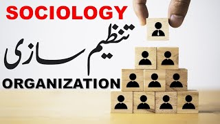 SOCIALIZATIONTHE TERMSOCIOLOGYFACTOR AFFECTING SOCIALIZATIONIUB LLB [upl. by Enileda365]