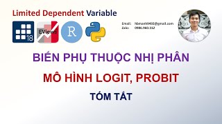 Logit amp Probit  Tóm tắt lý thuyết mô hình logit và probit [upl. by Scrogan]