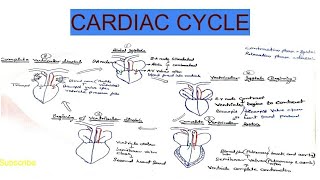 Cardiac cycle [upl. by Nilrac]