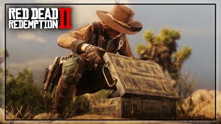 LE METIER DE COLLECTIONNEUR  RED DEAD ONLINE [upl. by Rosabel985]