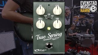 NAMM 2019  Source Audio True Spring Reverb [upl. by Adlee]