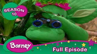 Barney  FULL Episode  Rabbits  Season 10 [upl. by Acino]