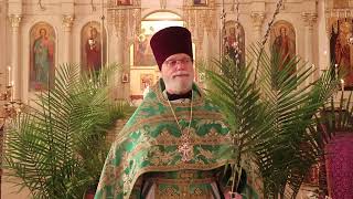 Orthodox Sermon  The meaning of Palm Sunday [upl. by Tortosa]