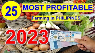 Top 25 Most Profitable Farming in 1 Hectare Farm  Philippines [upl. by Assiren]