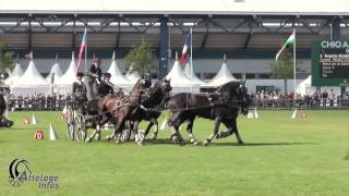 Benjamin Aillaud Fra CAIO Aachen 2017 Cones  winning round [upl. by Helyn]