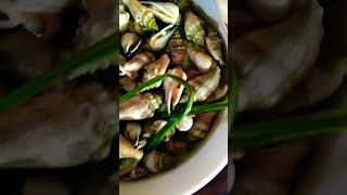 Tinulang Kinhason  Aninikad  Plicate Conch  Norbert Foods And Travel Vlog  seafoodslover [upl. by Redna]