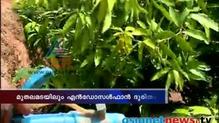 Endosulfan misery in Muthalamada മുതലമടയിലും എന്‍ഡോസള്‍ഫാന്‍ ദുരിതം [upl. by Celeste]